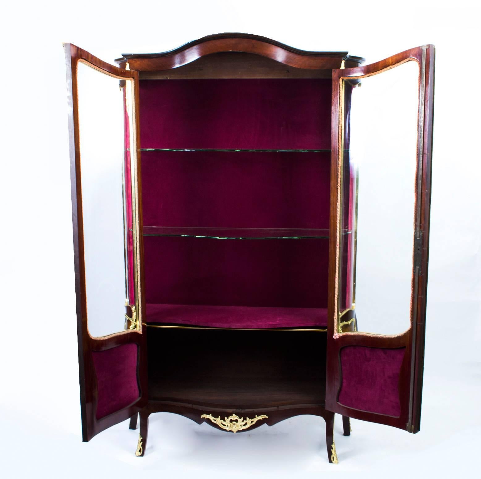 19th Century French Kingwood Vernis Martin Display Cabinet 5