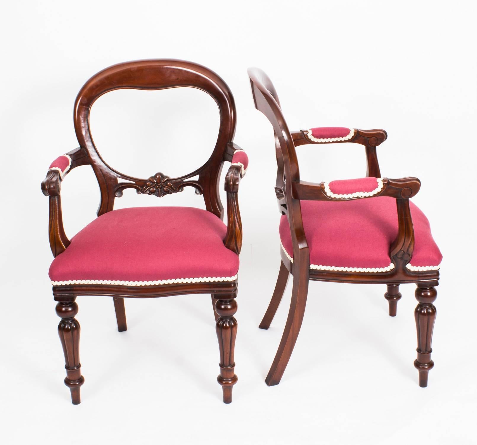 This is a beautiful set of 12 vintage Victorian style mahogany balloon back dining chairs, dating from the second half of the 20th century.

This set consists of ten chairs and two armchairs all skillfully carved from solid mahogany and