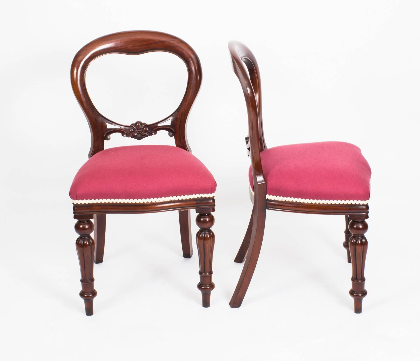Set of 12 Victorian Style Mahogany Balloon Back Dining Chairs, 20th Century 4