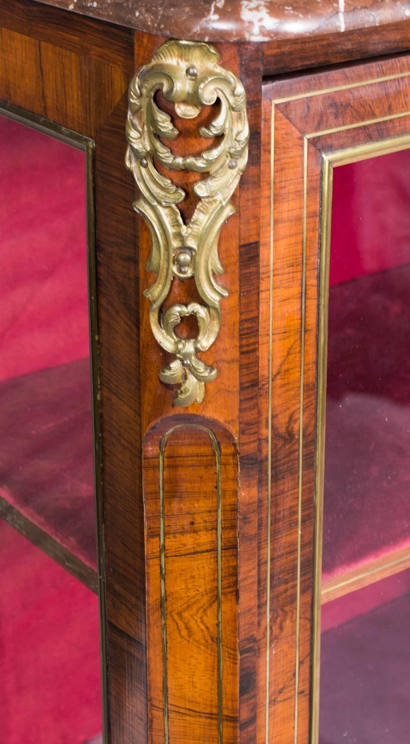 19th Century French Calamander Brass Inlaid Display Cabinet In Excellent Condition In London, GB