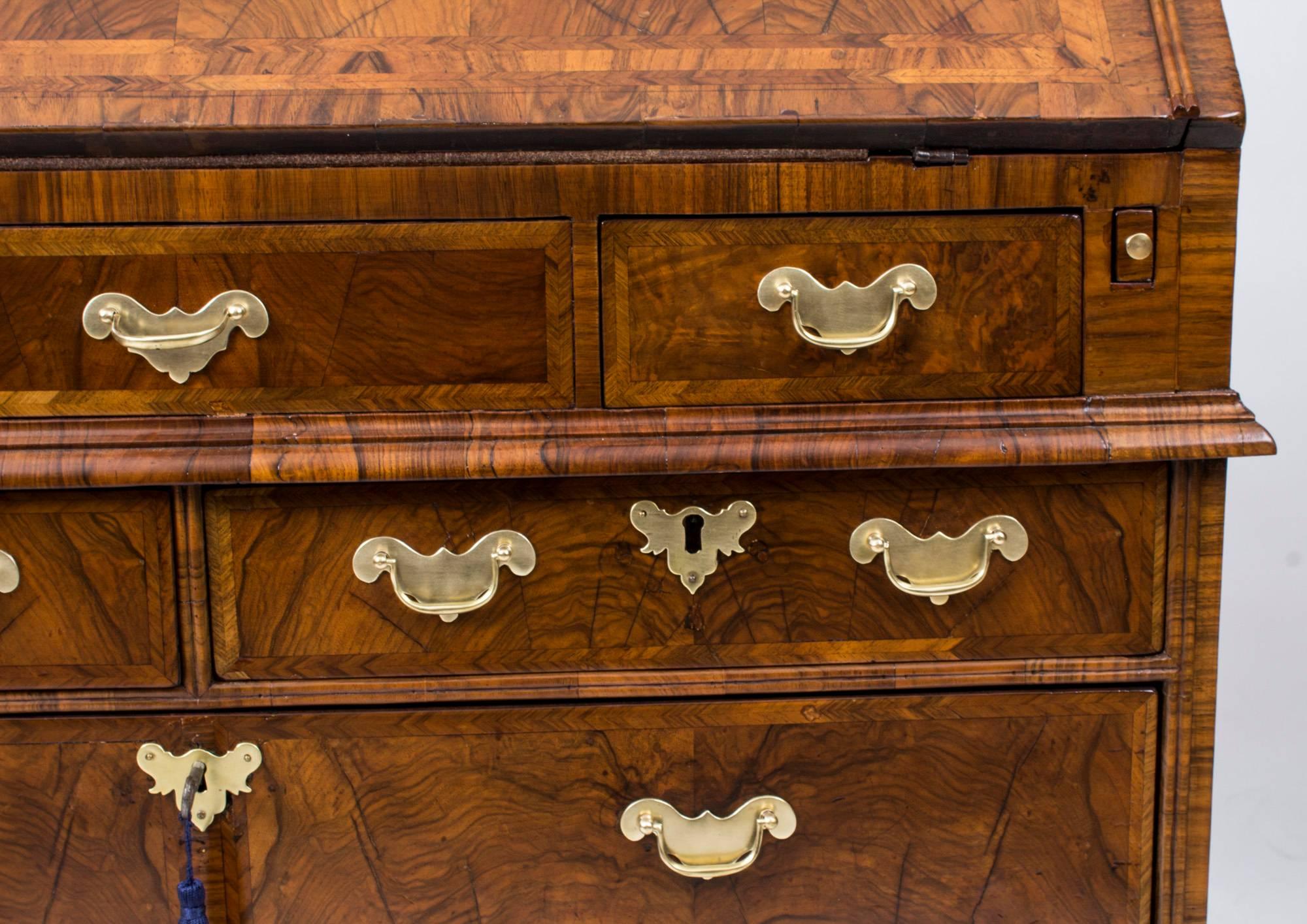 Early 18th Century 18th Century Queen Anne Double Dome Burr Walnut Bureau Bookcase For Sale
