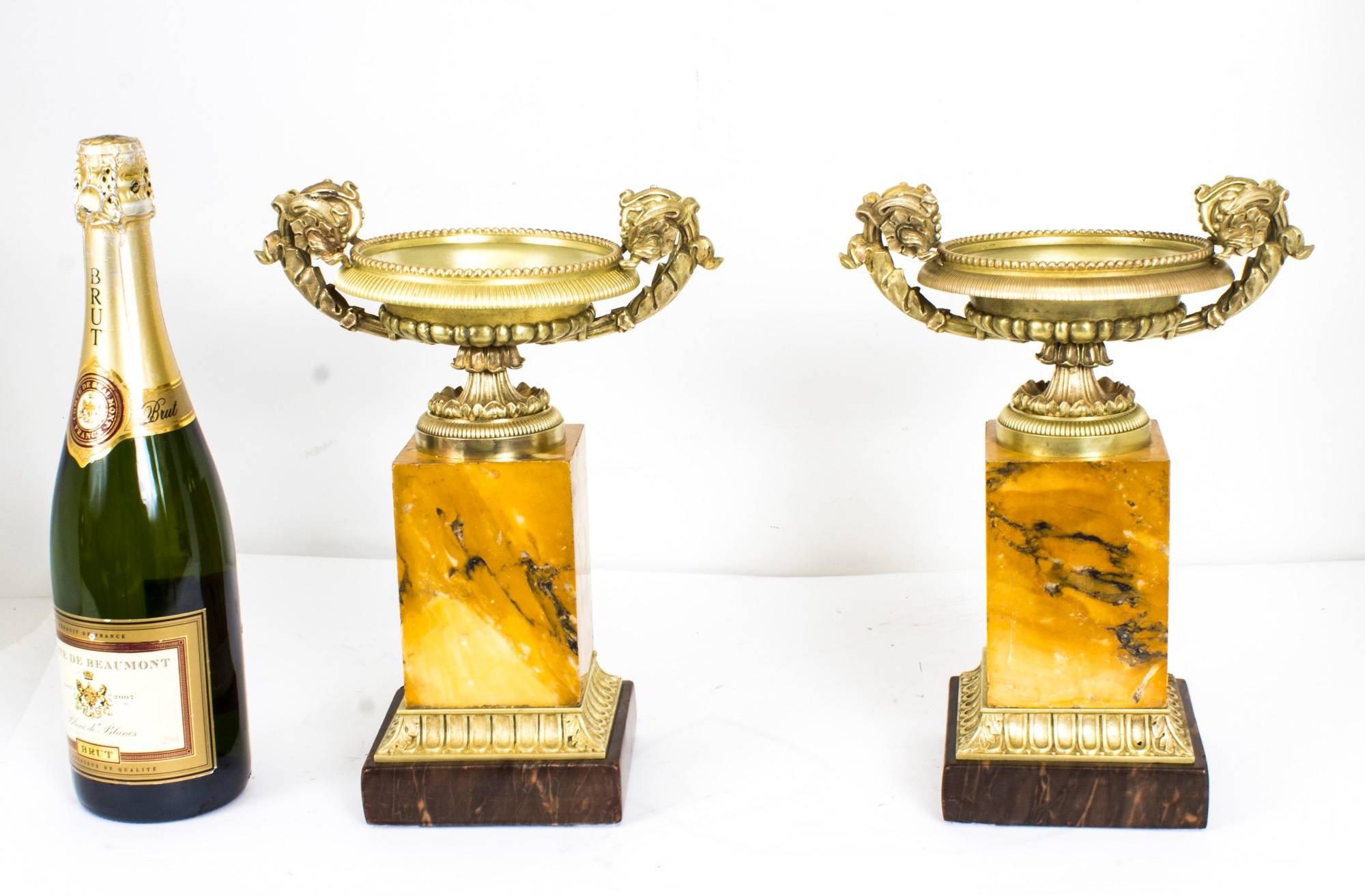 Antique Pair of Regency Bronze and Sienna Marble Campana Urns, circa 1815 5