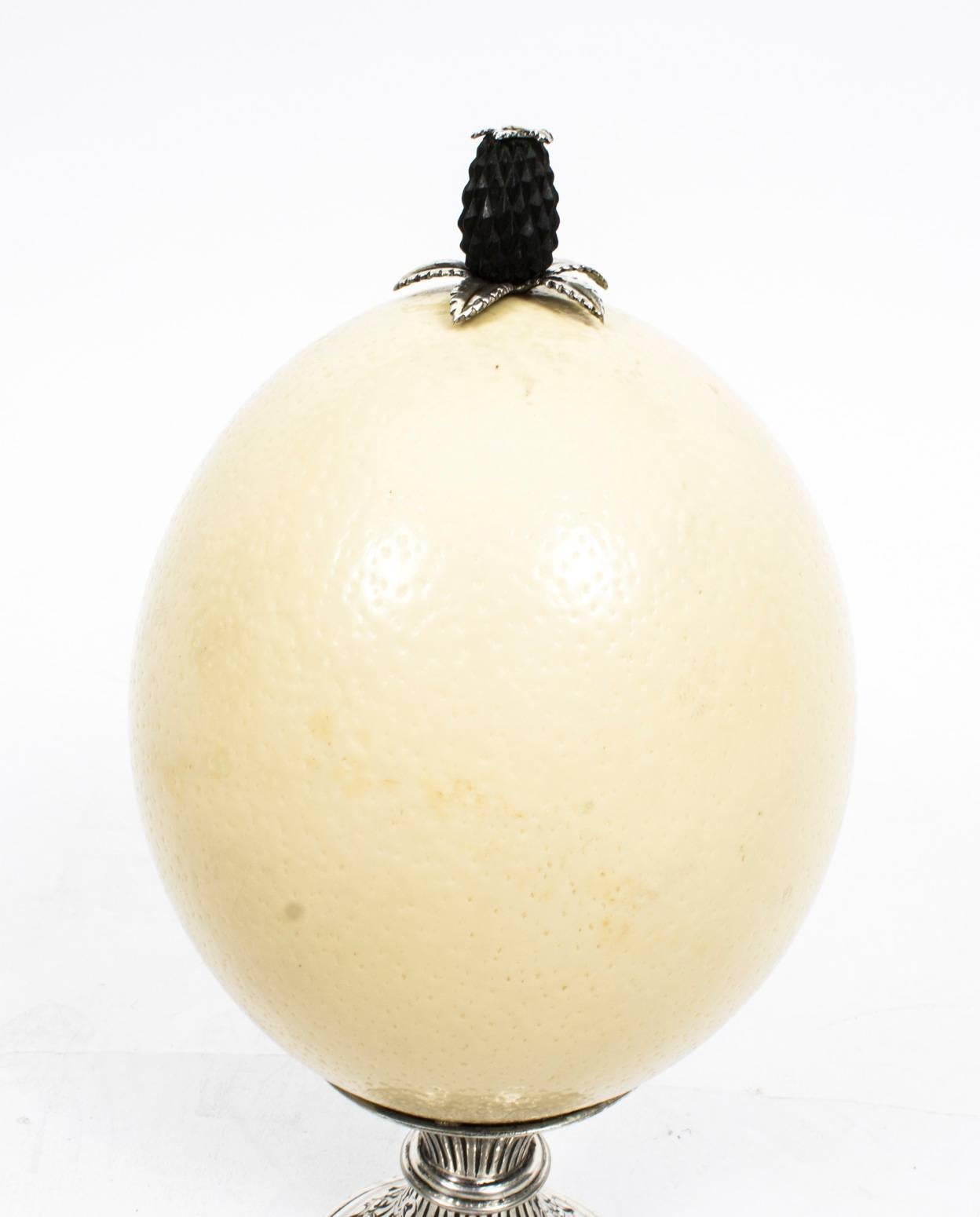 This is a wonderful antique English Victorian sterling silver mounted Ostrich egg with hallmarks for 1887 and the makers mark of the renowned silversmiths George Unite.

This beautiful polished ostrich egg is topped with an ebony pineapple finial