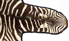 Vintage Taxidermy Zebra Skin Rug with Felt Backing, circa 1970