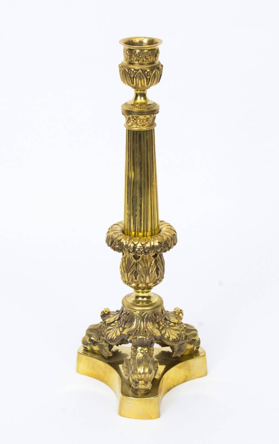 This is a delightful pair of antique Louis XIV style French ormolu candlesticks, circa 1840 in date.

The candlesticks have fluted barrel columns supportin stiff leaf moulded nozzle candle cups, heightened with scalloped beading, resting on