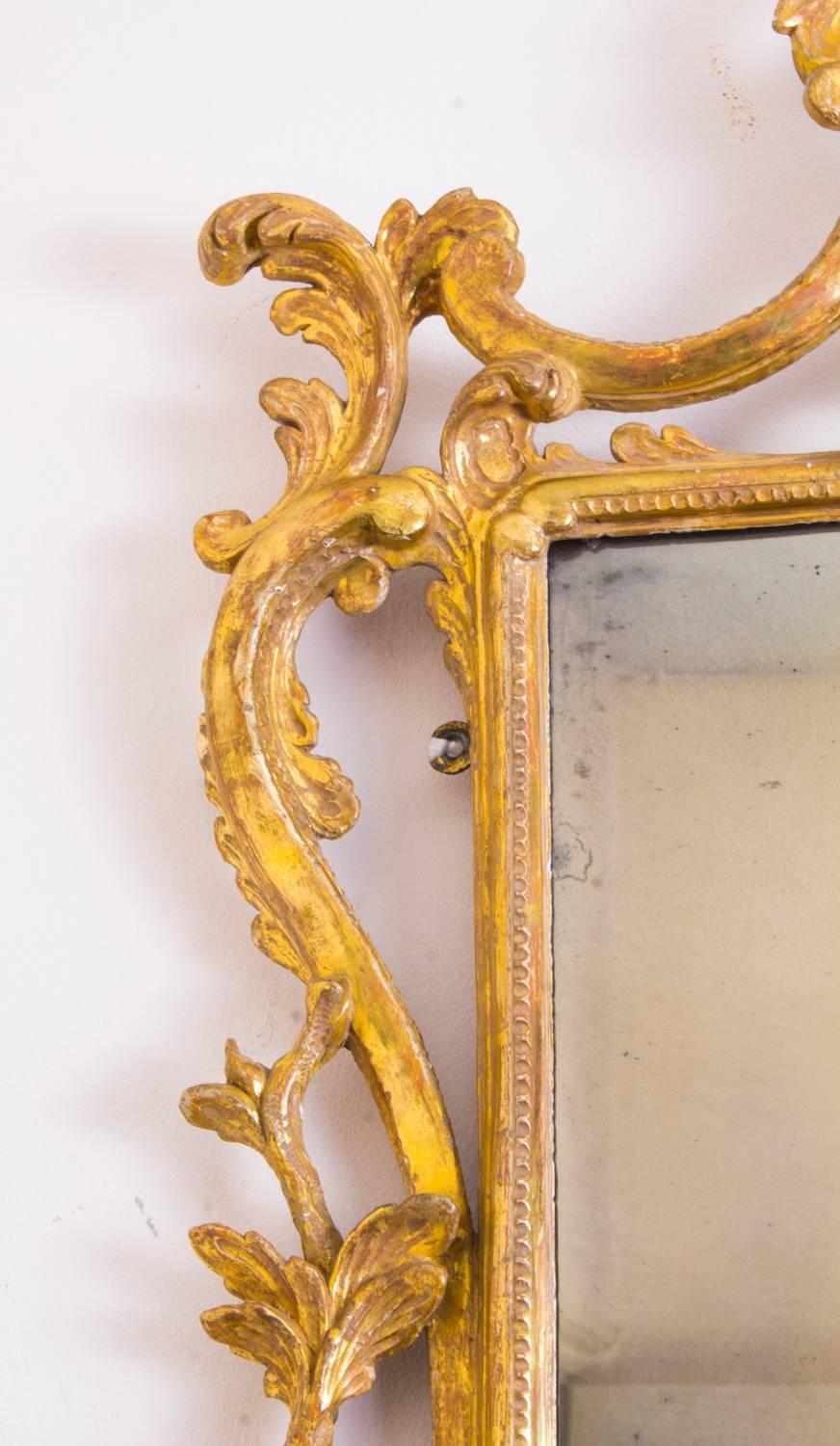 19th Century Italian Florentine Carved Giltwood Mirror In Excellent Condition In London, GB