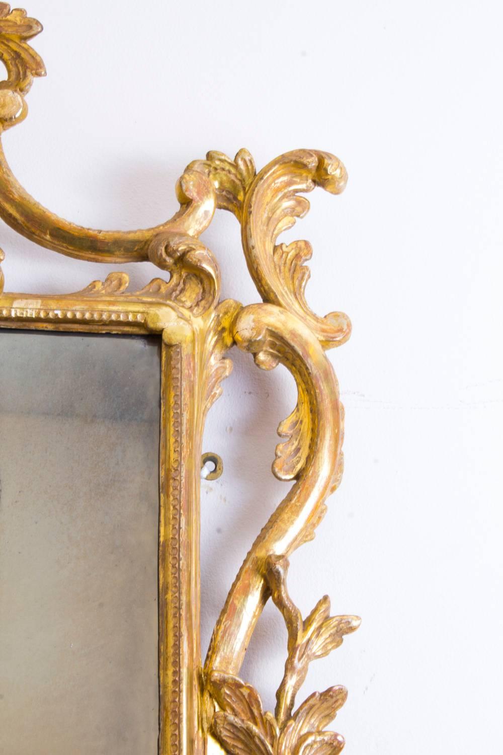Late 19th Century 19th Century Italian Florentine Carved Giltwood Mirror