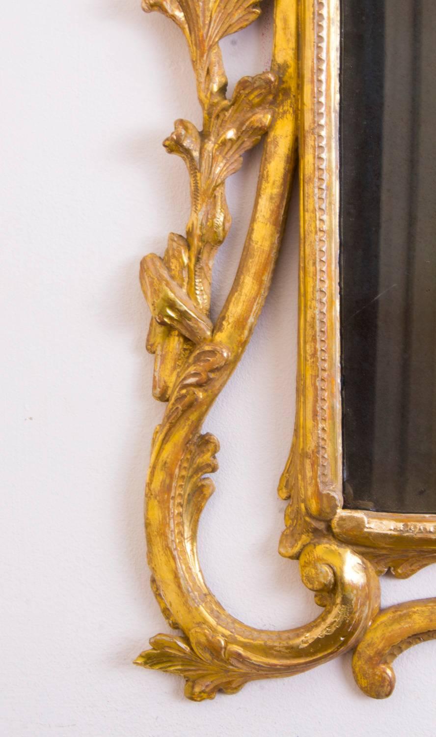 19th Century Italian Florentine Carved Giltwood Mirror 1