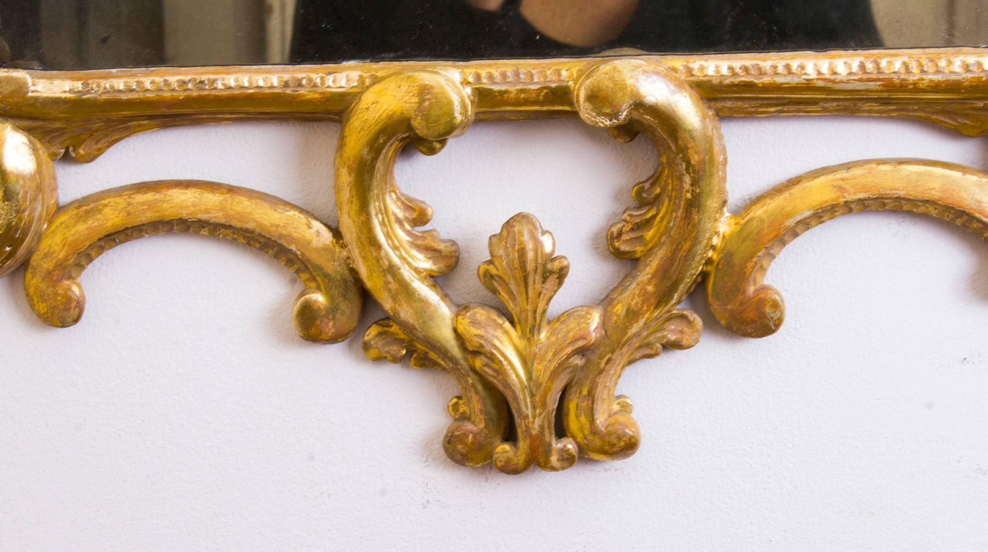 19th Century Italian Florentine Carved Giltwood Mirror 2