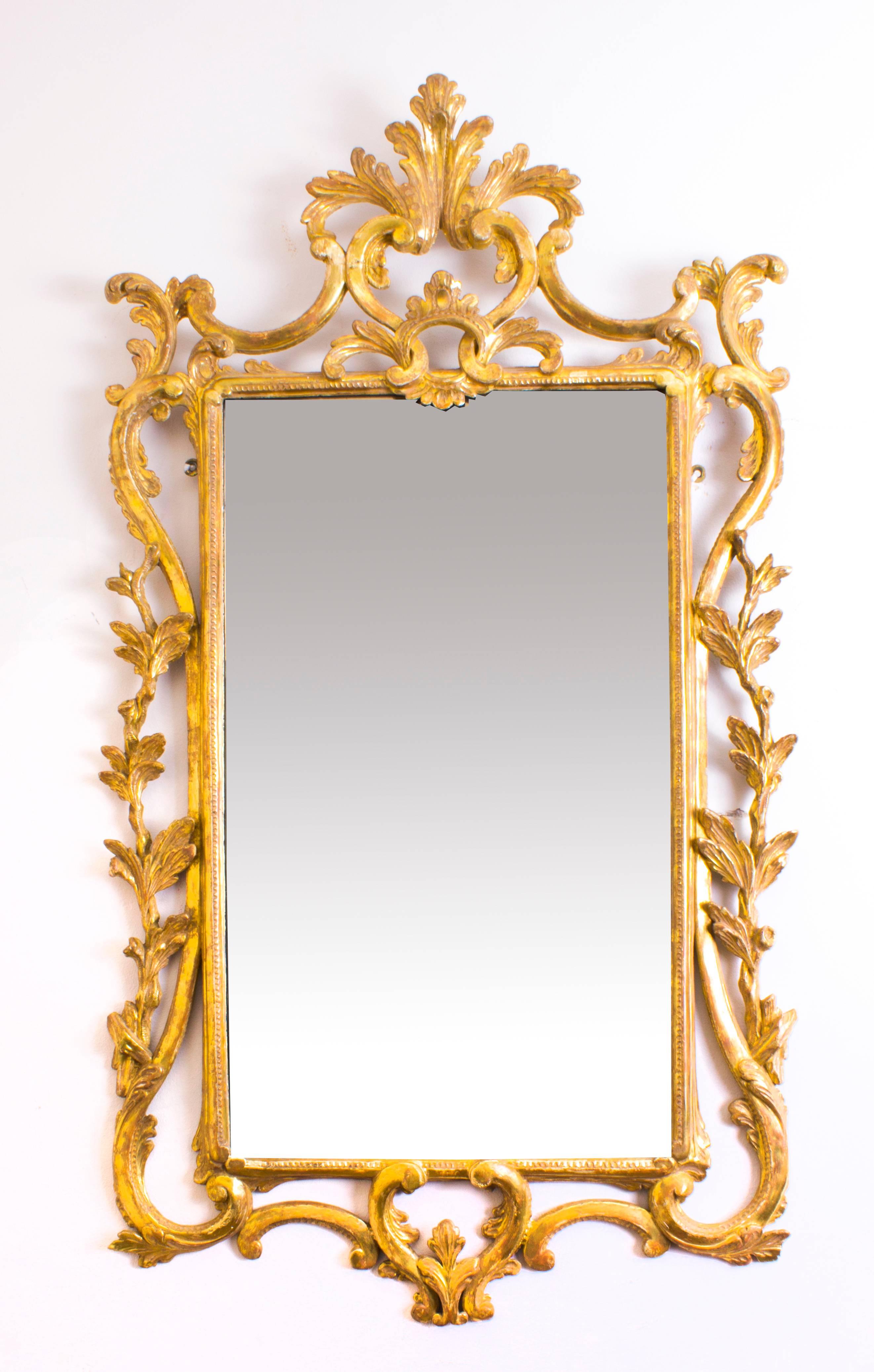 19th Century Italian Florentine Carved Giltwood Mirror 5