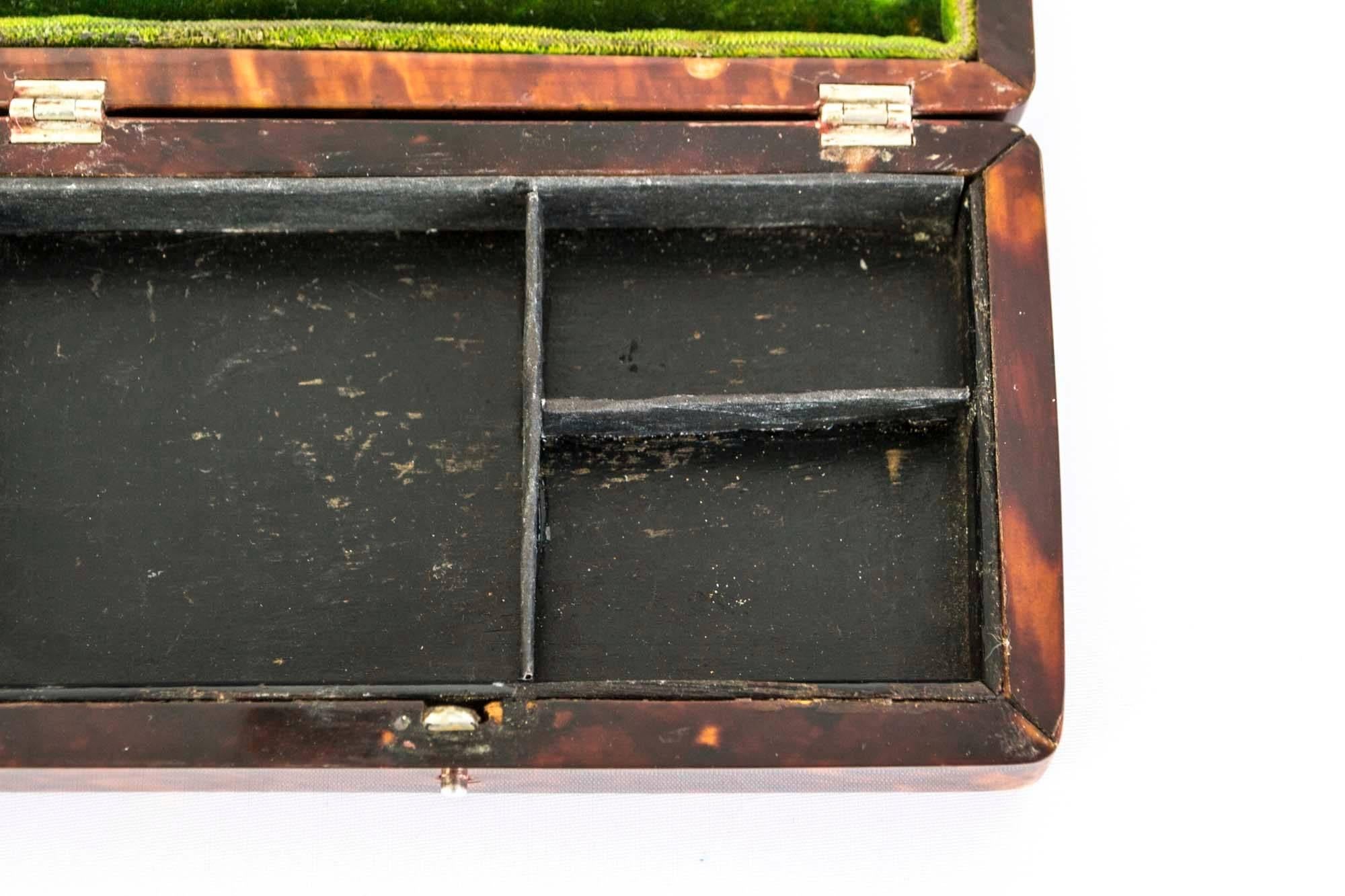 19th Century Victorian Tortoiseshell Pins Box 2