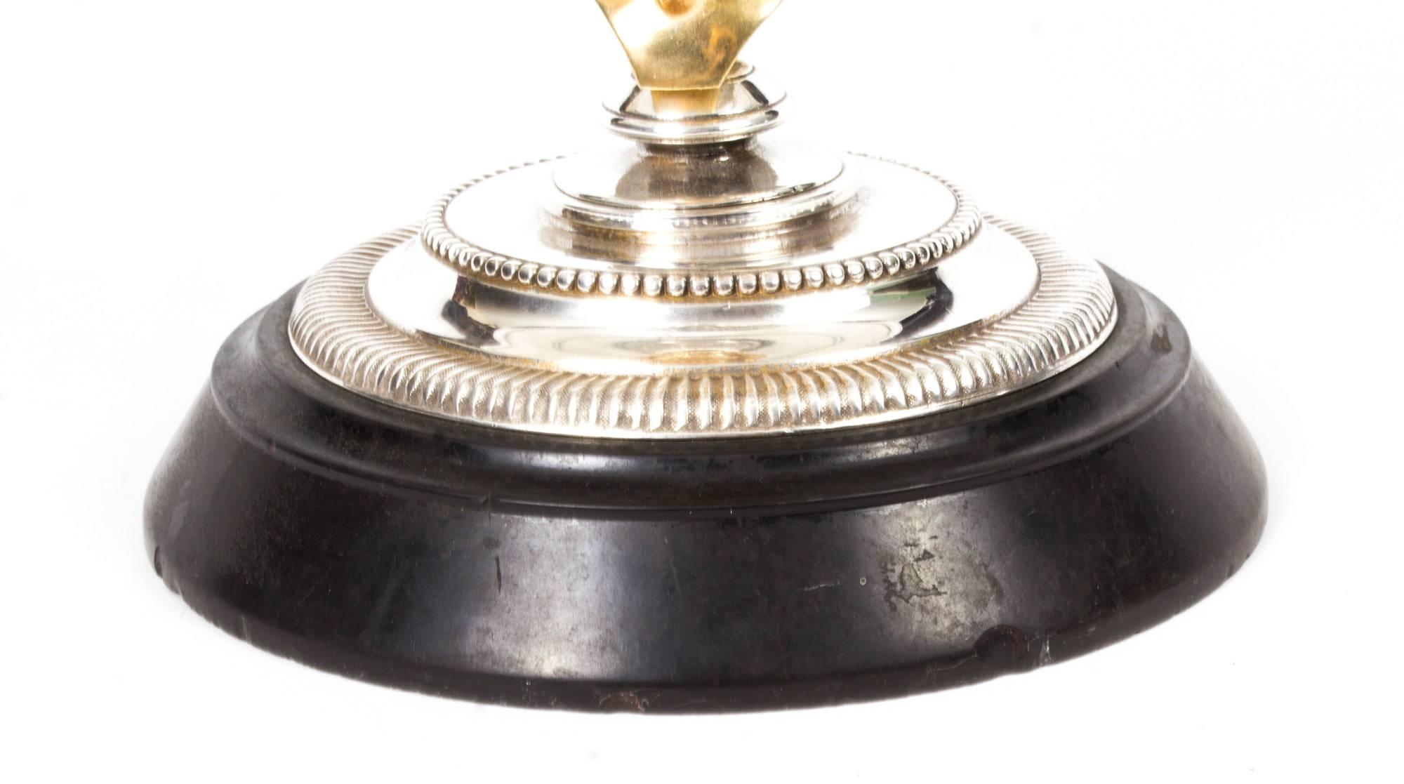Silvered 19th Century Classical Continental Grand Tour Bronze Tazza
