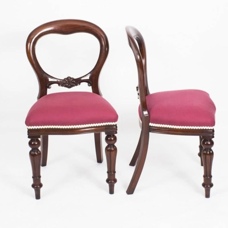 19th Century Mahogany Dining Table and Ten Balloon Back Chairs 4