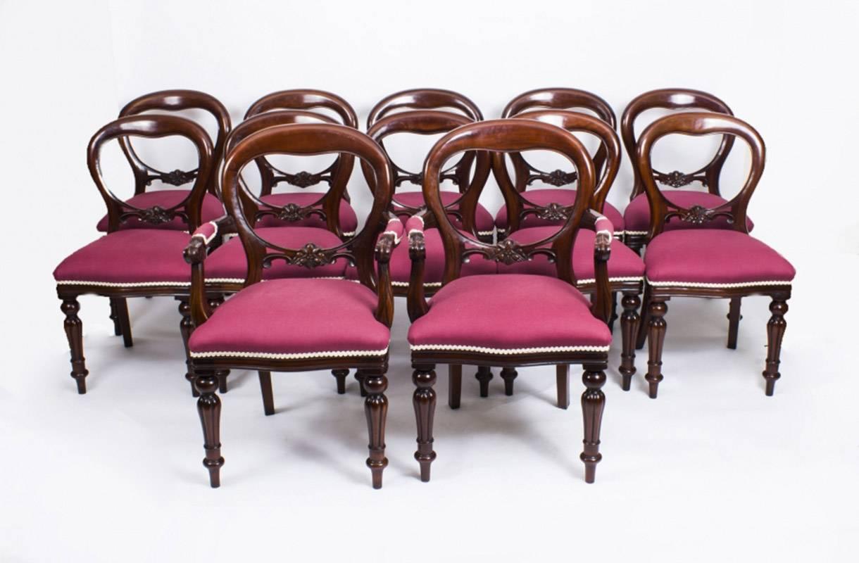 19th Century Mahogany Dining Table and Ten Balloon Back Chairs 1