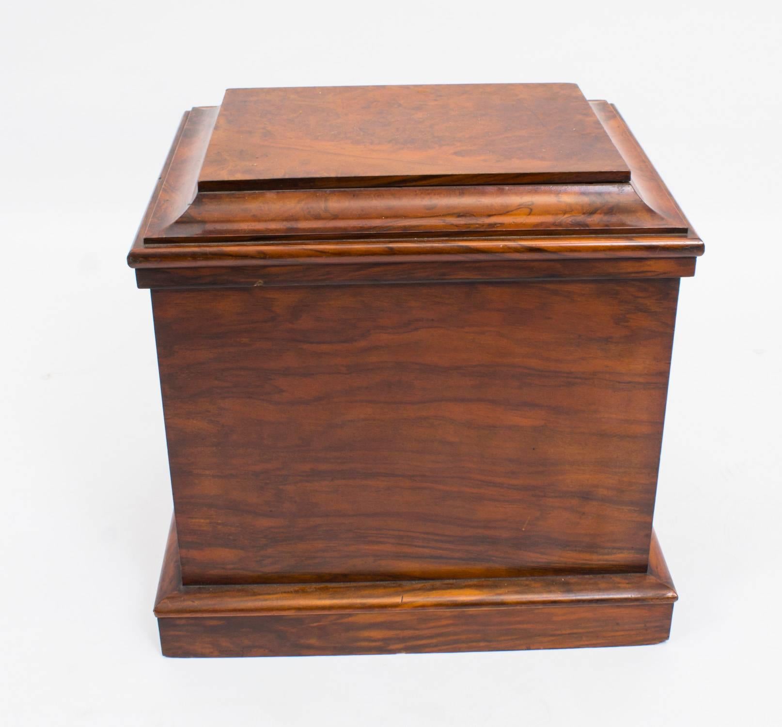 19th Century Victorian Burr Walnut Cigar Humidor Box 3