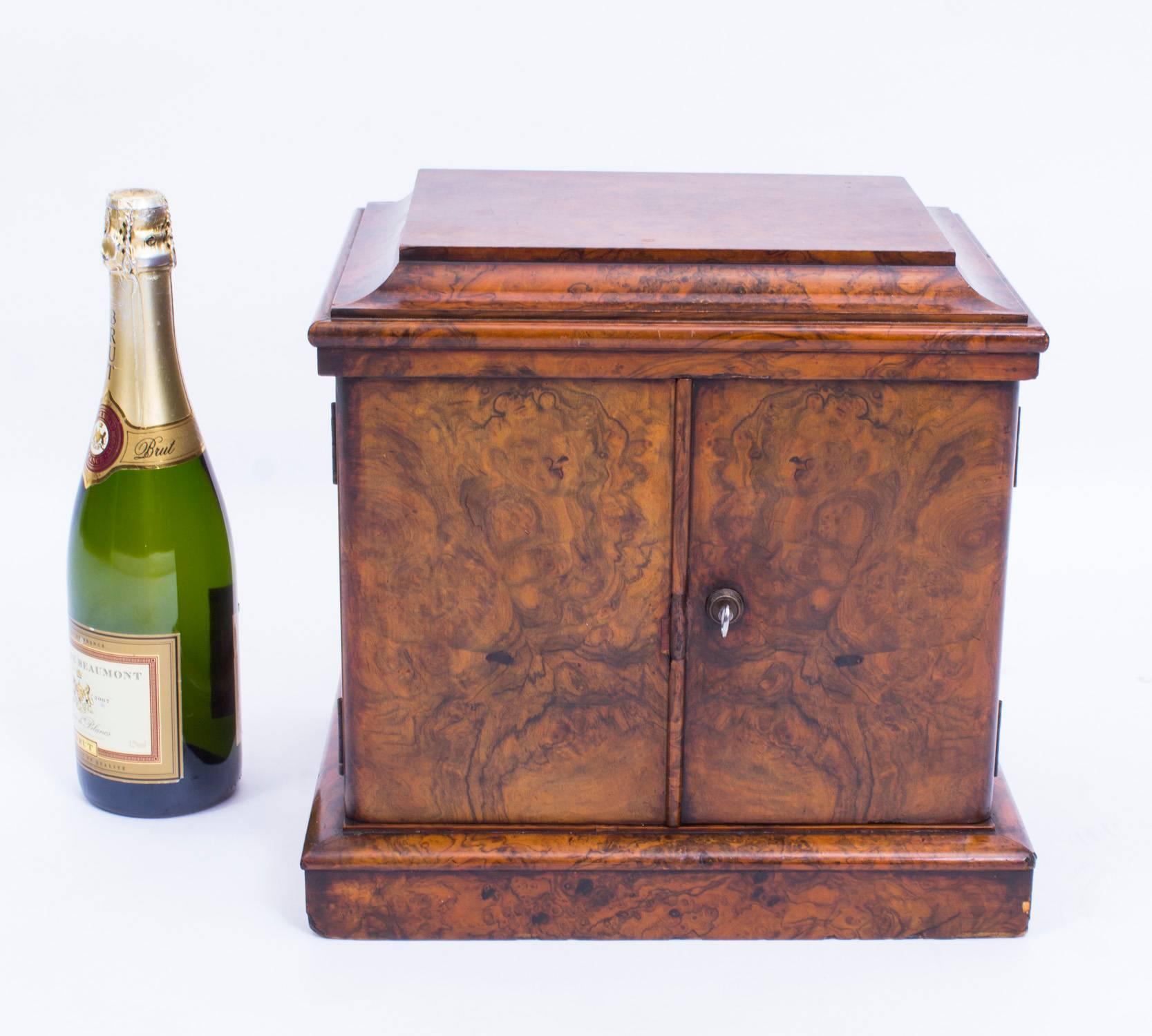 19th Century Victorian Burr Walnut Cigar Humidor Box 4