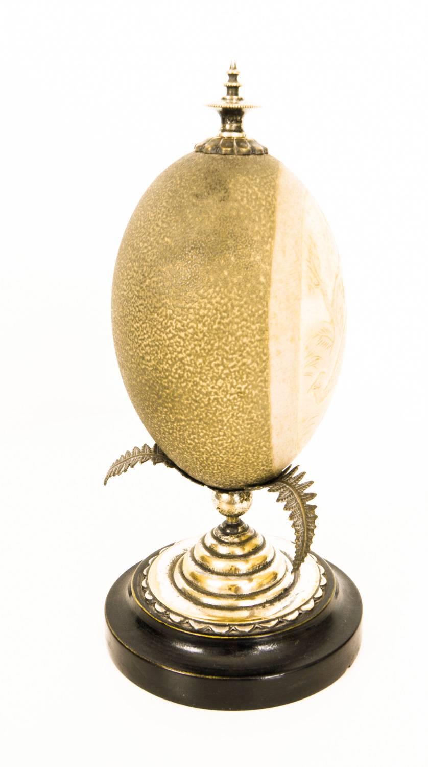 emu egg holder