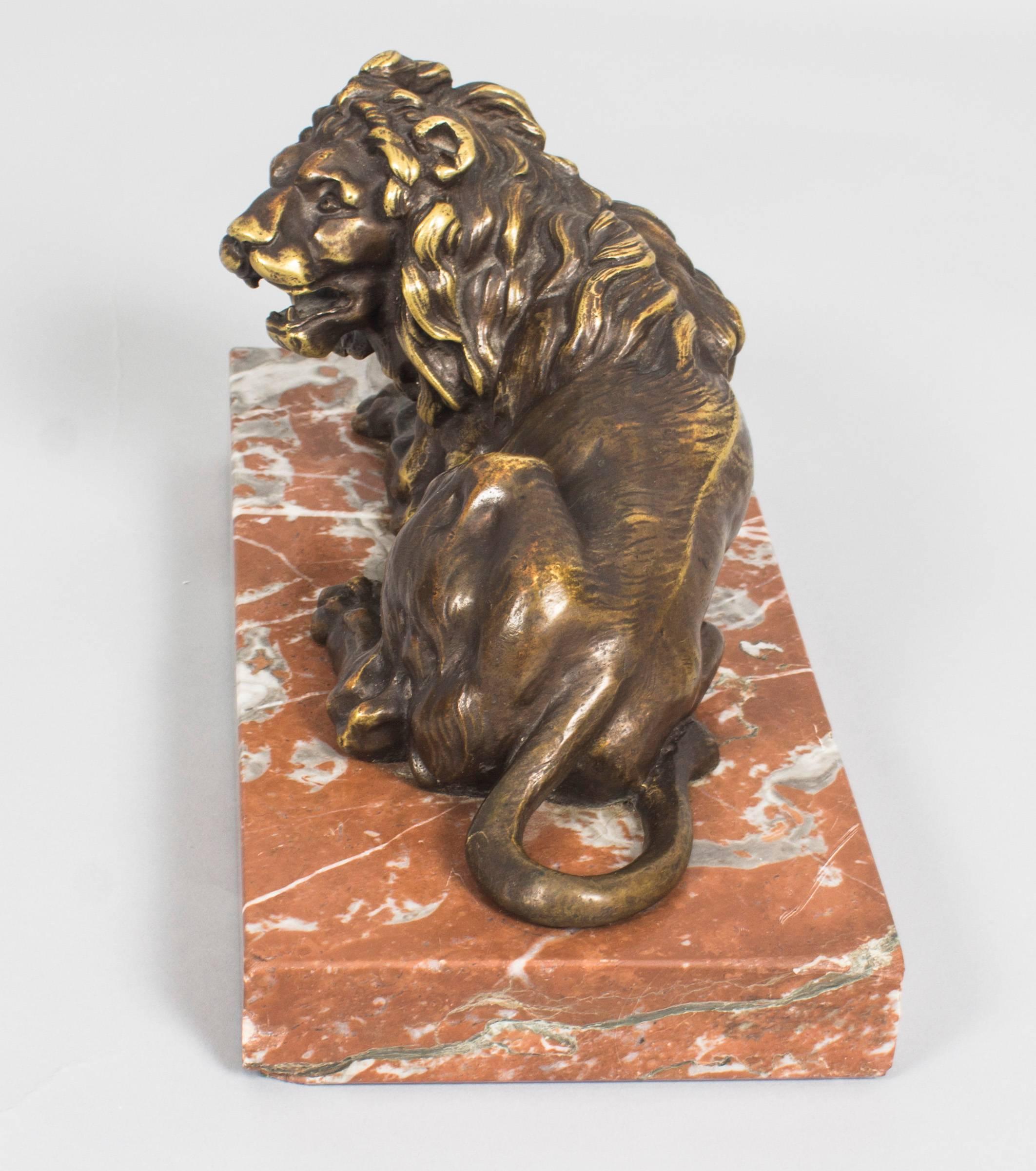 Antique Pair of Grand Tour Bronze Lions on Marble Bases 19th Century 6