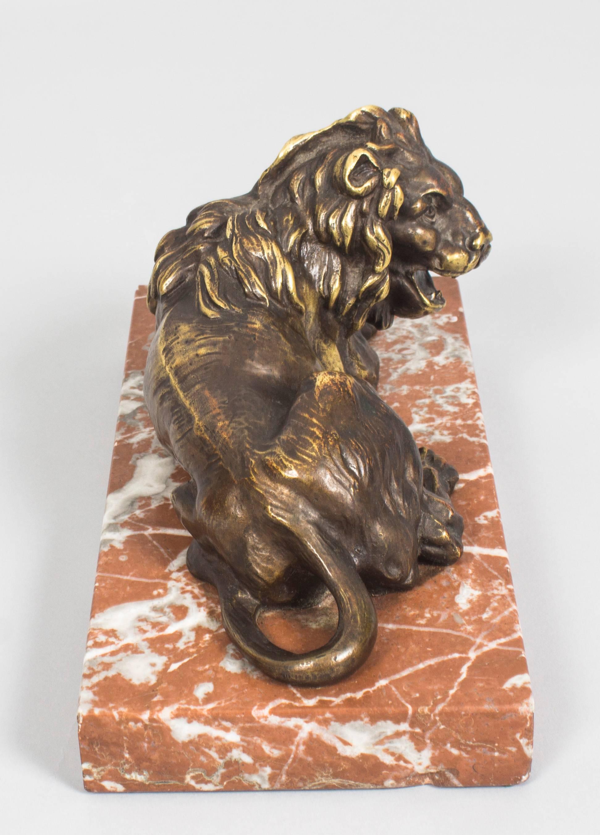 Antique Pair of Grand Tour Bronze Lions on Marble Bases 19th Century 2