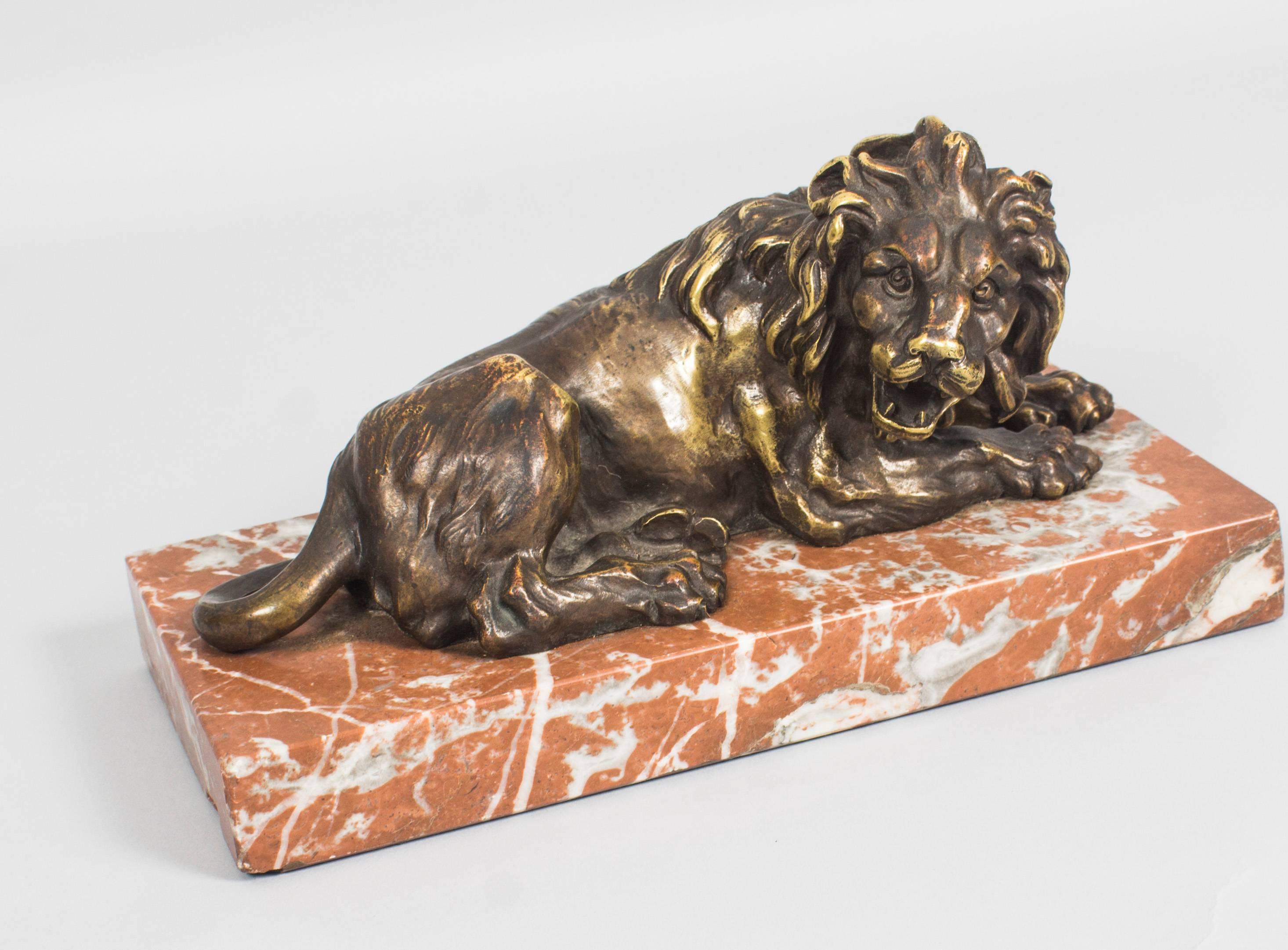 Late 19th Century Antique Pair of Grand Tour Bronze Lions on Marble Bases 19th Century