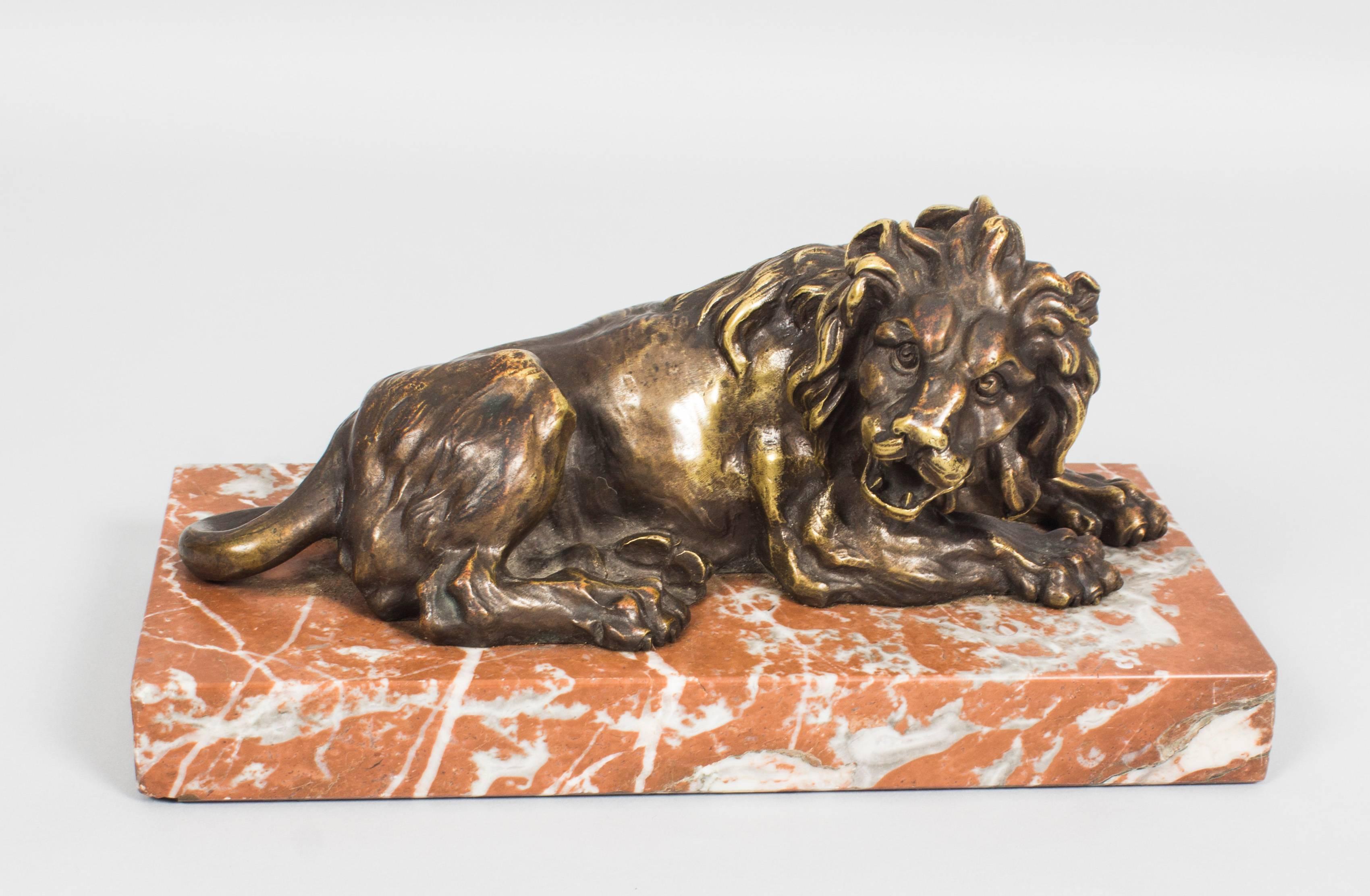 Antique Pair of Grand Tour Bronze Lions on Marble Bases 19th Century In Excellent Condition In London, GB