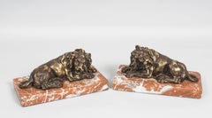Antique Pair of Grand Tour Bronze Lions on Marble Bases 19th Century