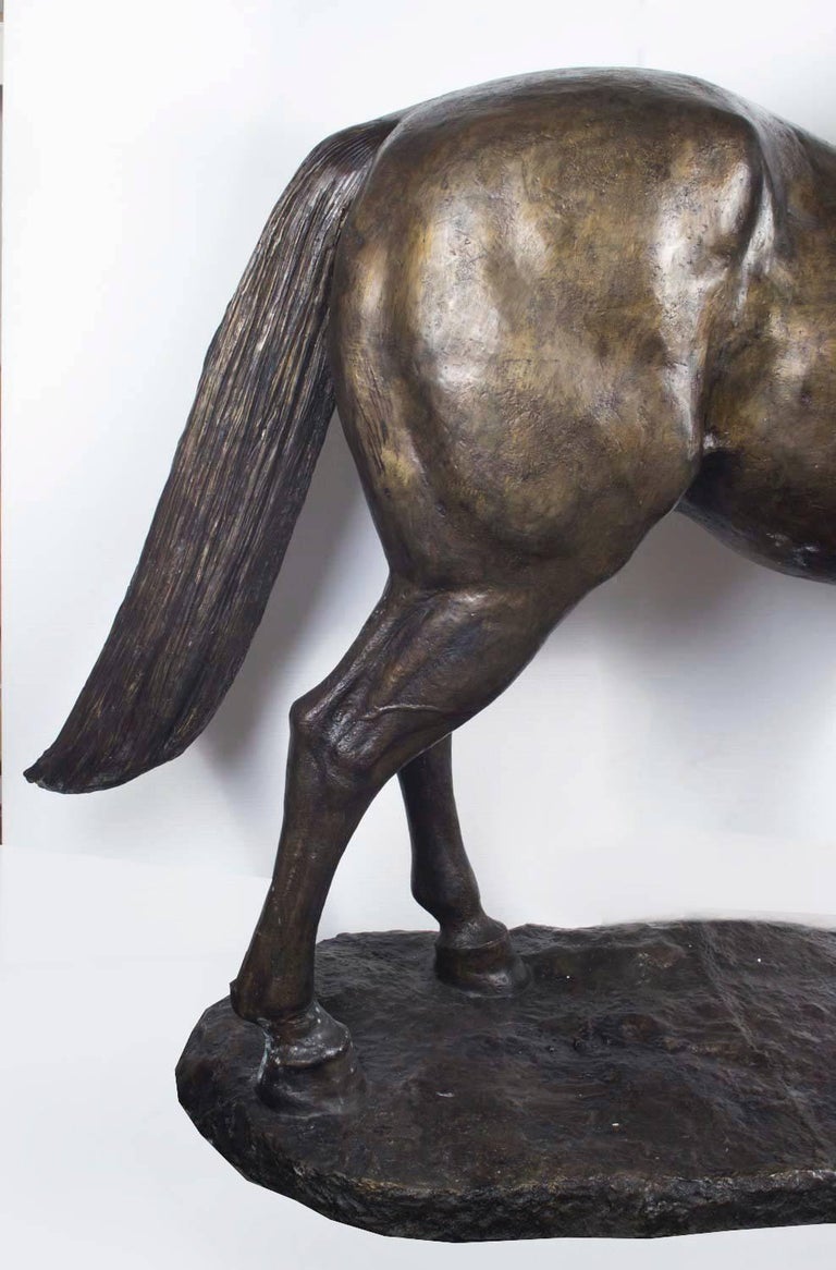 Stunning Massive LifeSize Bronze Statue of a Stallion, Late 20th