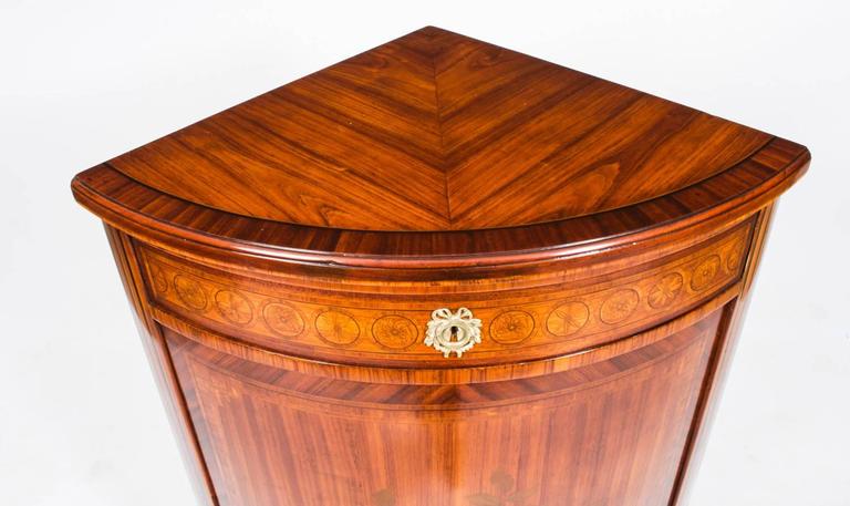 19th Century Rosewood And Satinwood Marquetry Low Corner Cabinet