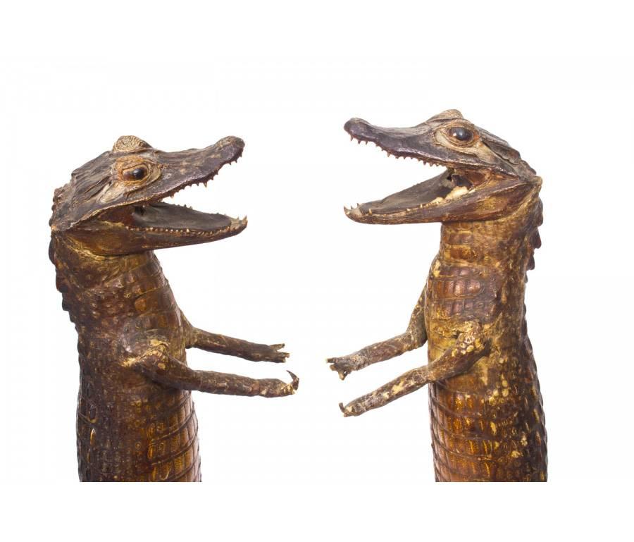 Pair of Taxidermic Cayman Waiters Holding Oval Tray, circa 1890 1