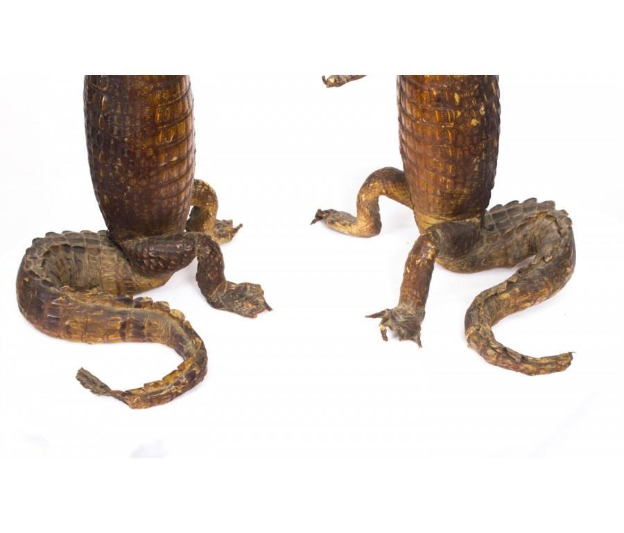 Pair of Taxidermic Cayman Waiters Holding Oval Tray, circa 1890 2