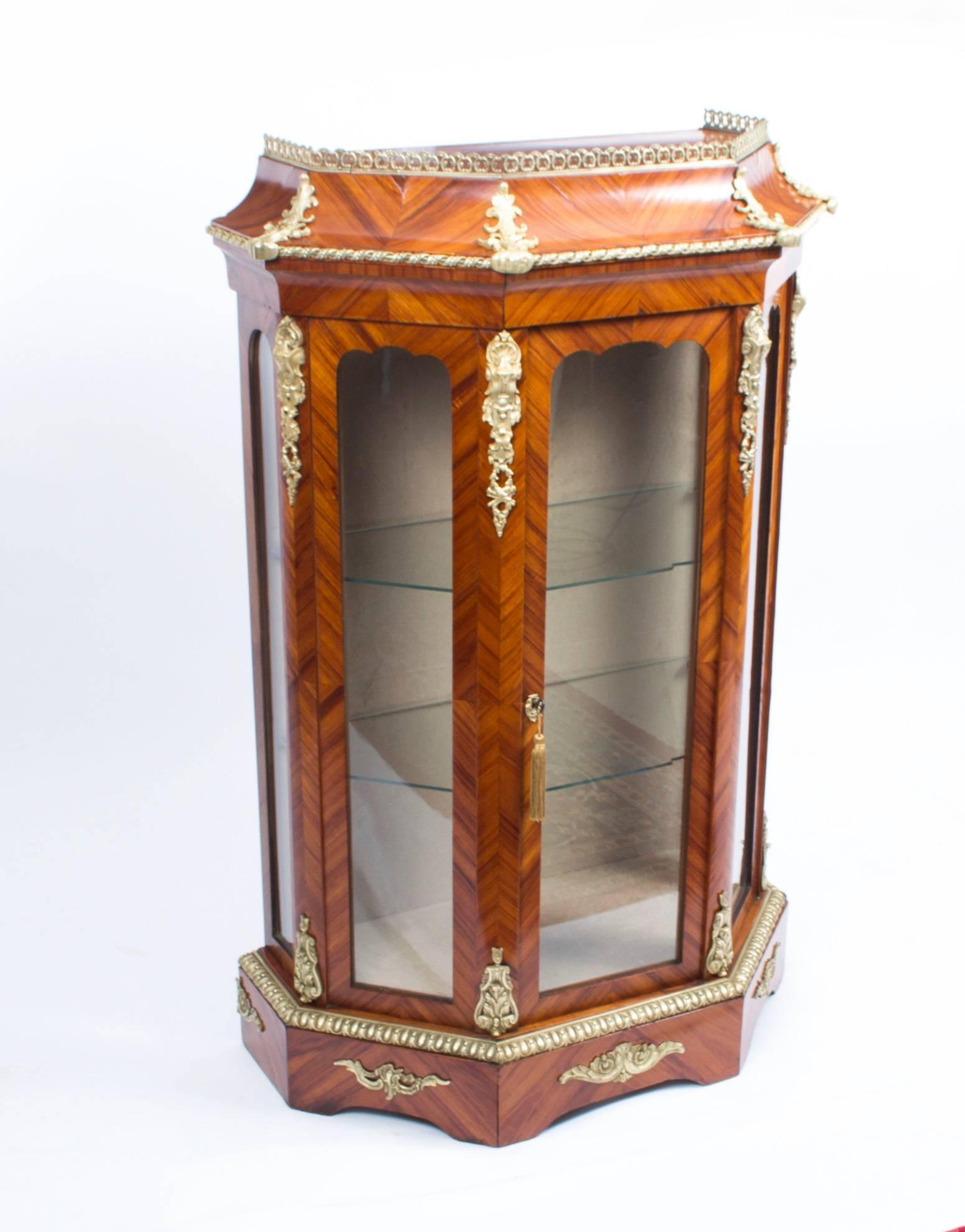 English 19th Century Pair of Victorian  Walnut  Vitrines Cabinets