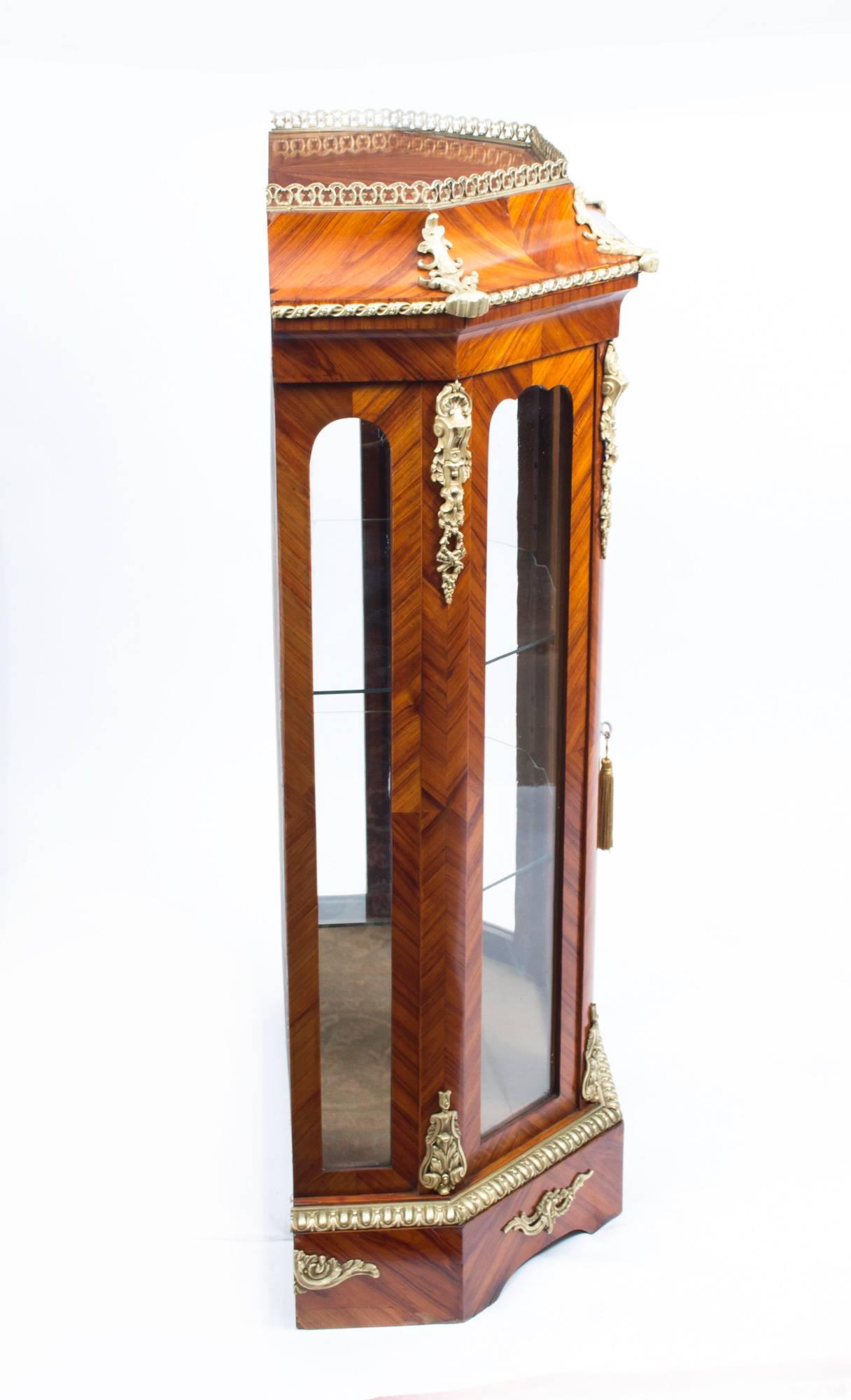 19th Century Pair of Victorian  Walnut  Vitrines Cabinets 4