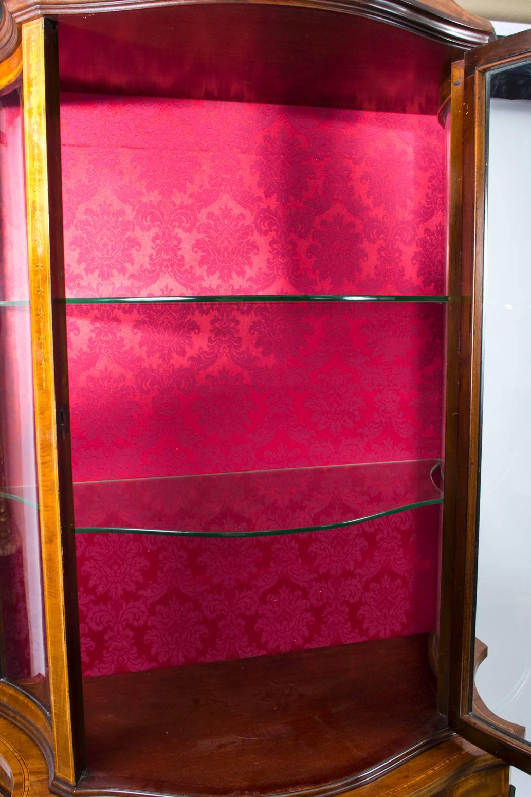 English Antique Edwardian Inlaid Display Cabinet 19th Century
