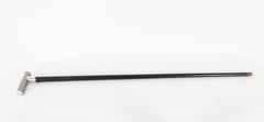 Antique Chinese Silver Walking Cane with Prunus Blossom Handle 19th Century