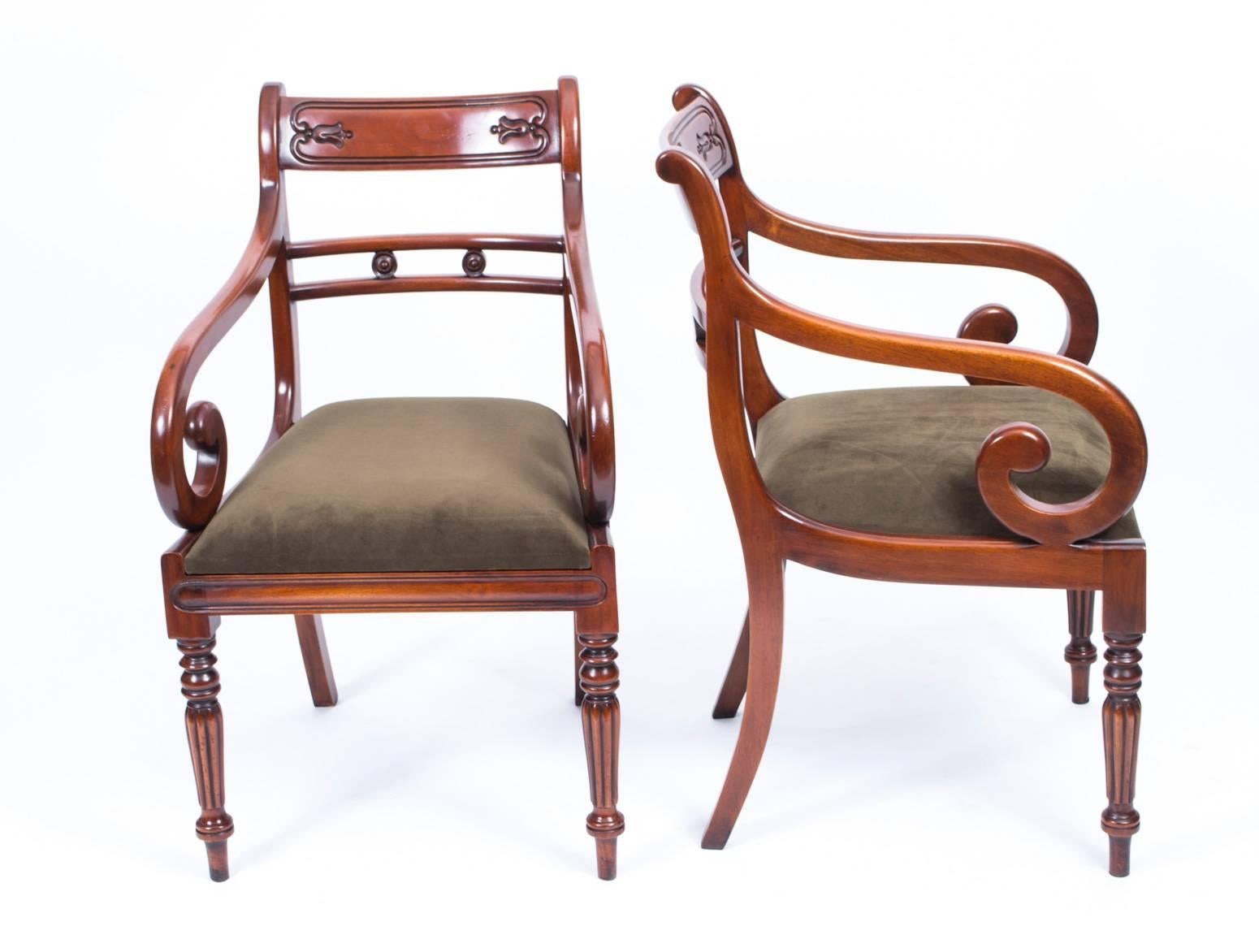An absolutely fantastic English made set of ten Regency style dining chairs, dating from the last quarter of the 20th century.

These chairs have been masterfully crafted in beautiful solid flame mahogany throughout and the finish and attention to