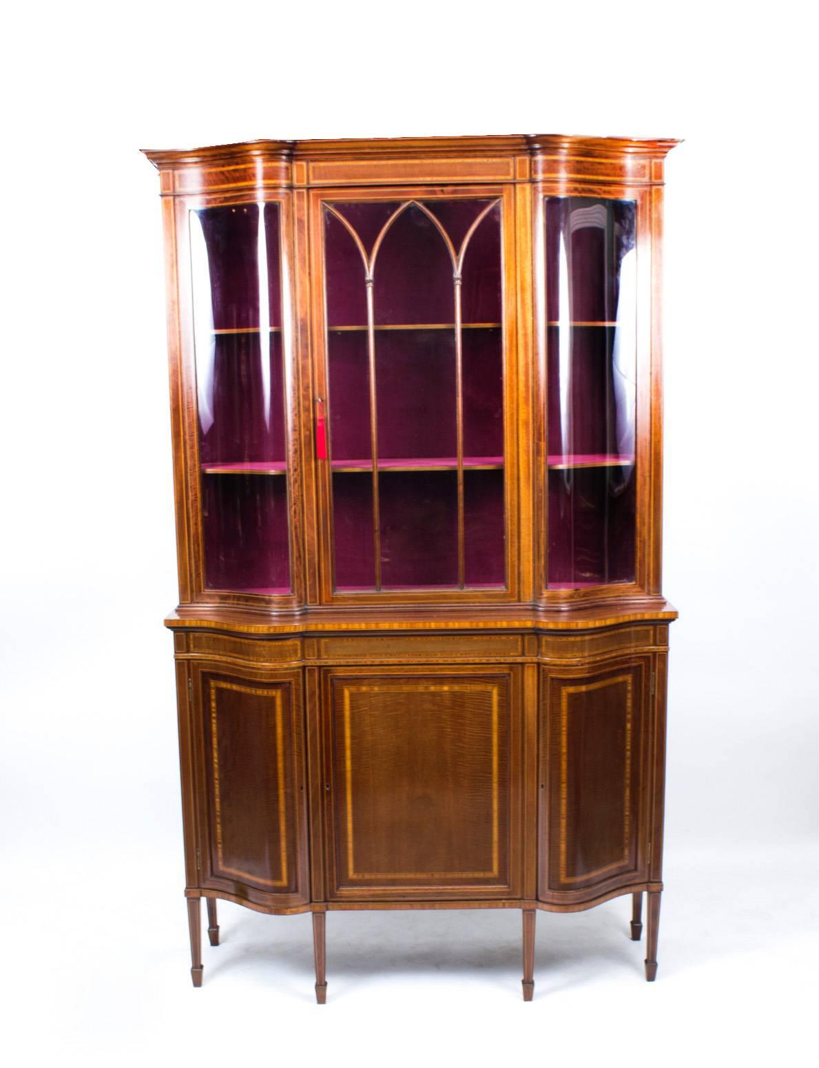 Antique Edwardian Serpentine Inlaid Display Cabinet Early 20th Century 2