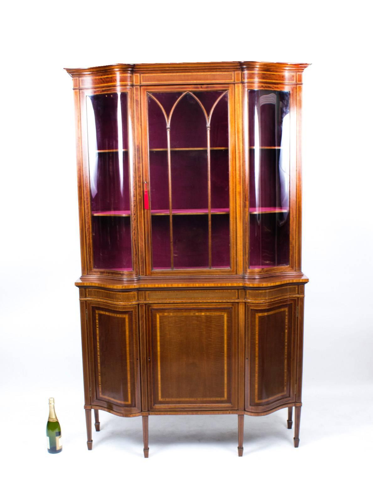 Antique Edwardian Serpentine Inlaid Display Cabinet Early 20th Century 3