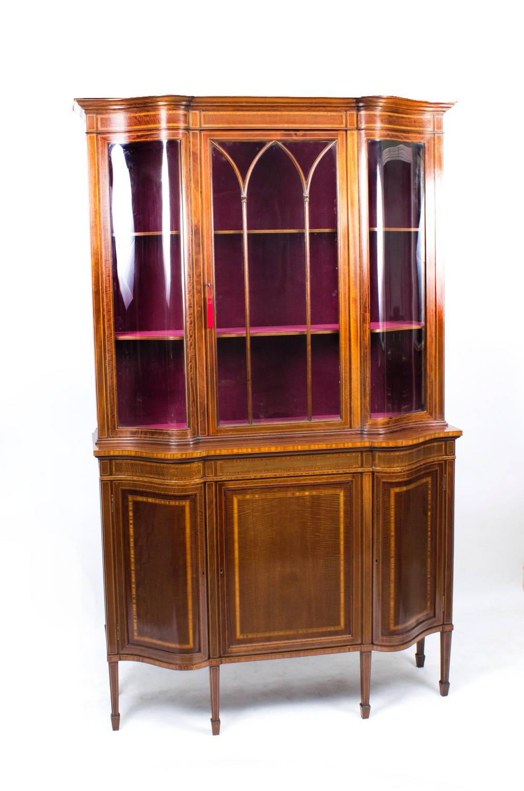 Antique Edwardian Serpentine Inlaid Display Cabinet Early 20th Century 4