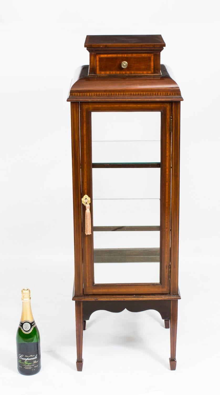 19th Century Edwardian Square Vitrine Display Cabinet 4