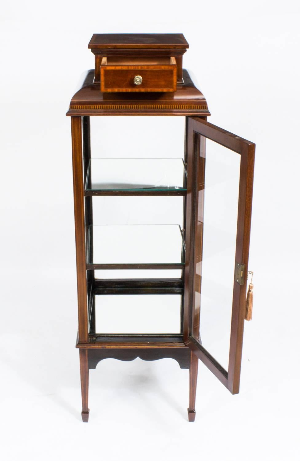 19th Century Edwardian Square Vitrine Display Cabinet 3