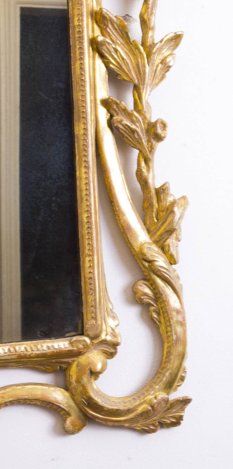 19th Century Italian Florentine Carved Giltwood Mirror 3