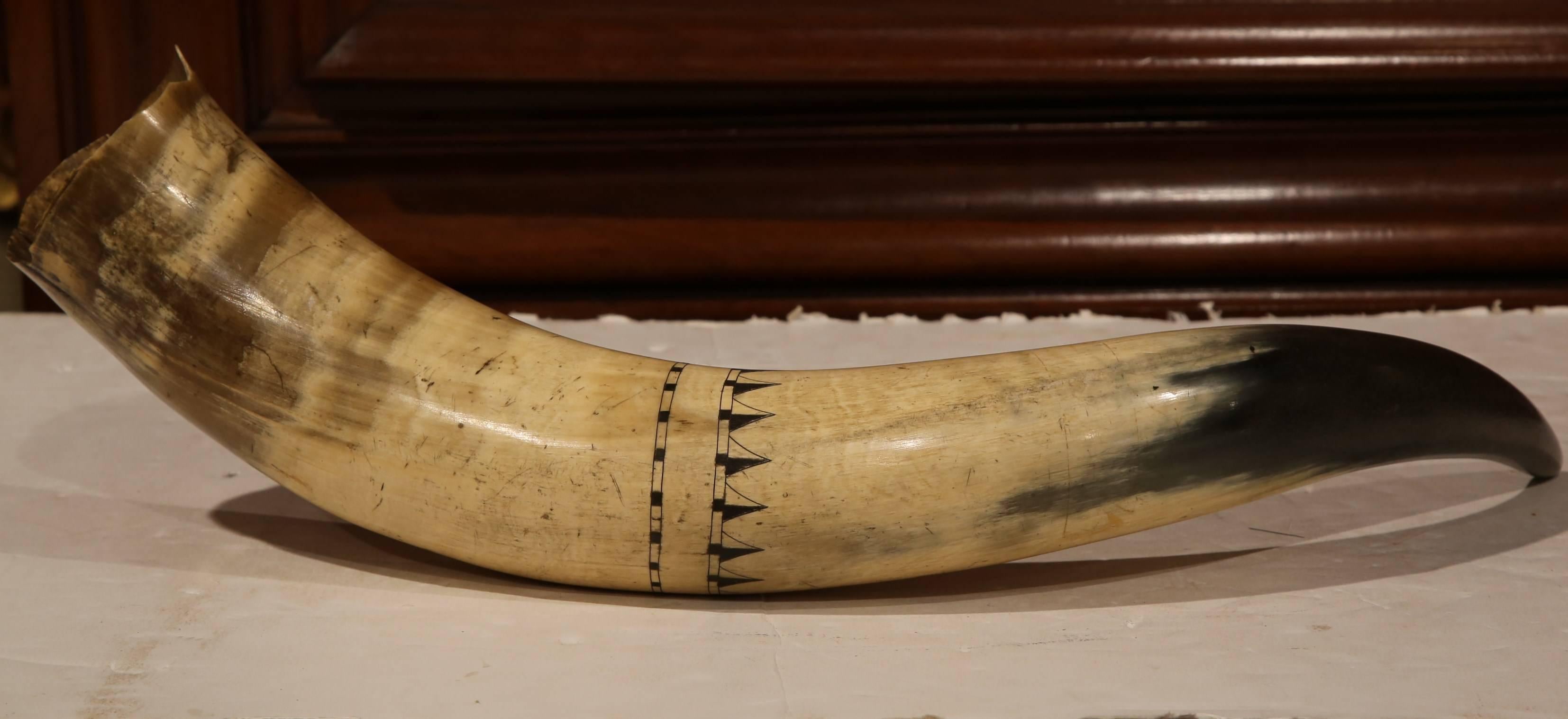 Patinated 19th Century English Scrimshaw Steer Horn with Black Armorial Crest Engraving For Sale