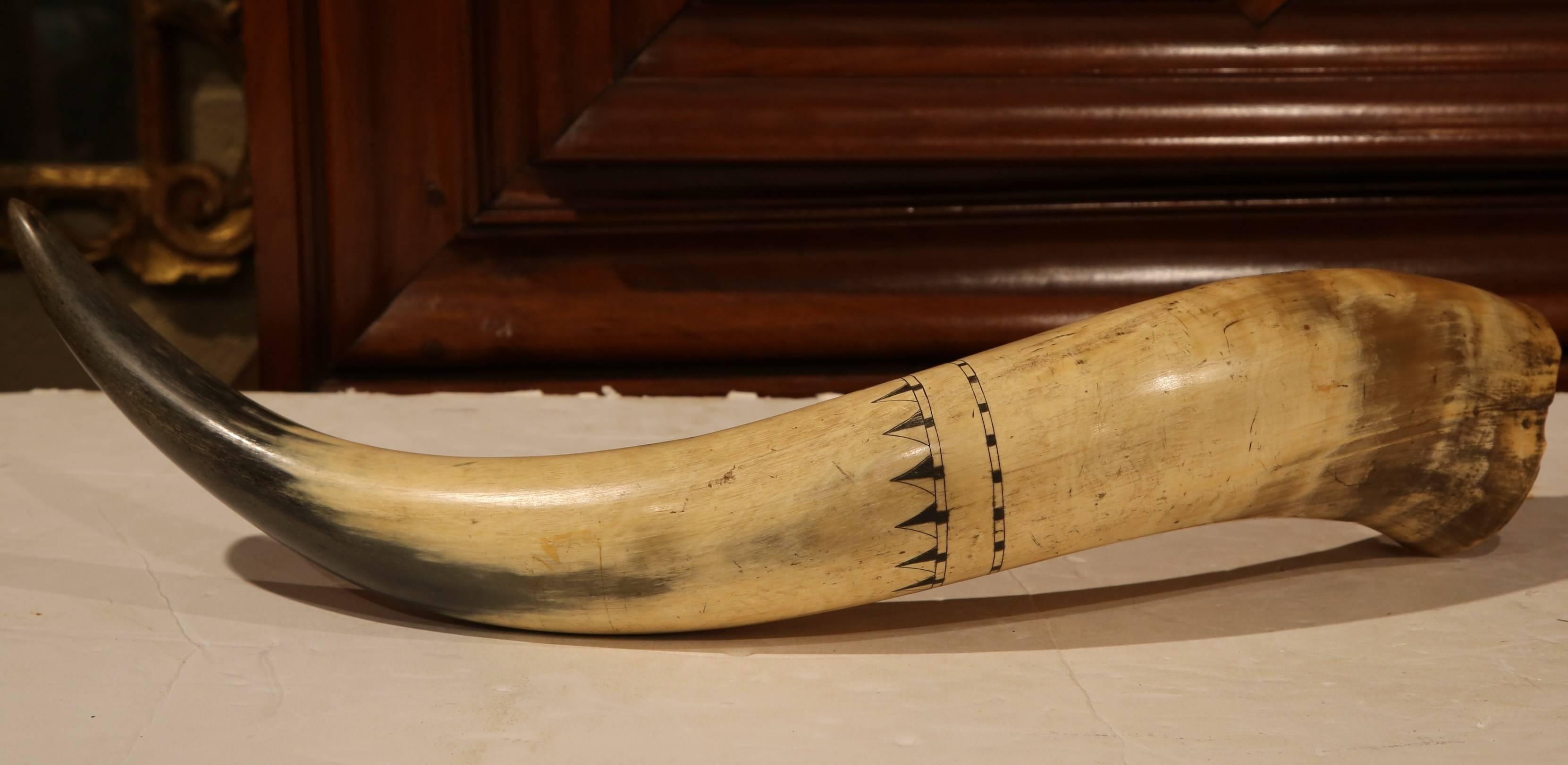 19th Century English Scrimshaw Steer Horn with Black Armorial Crest Engraving In Excellent Condition For Sale In Dallas, TX
