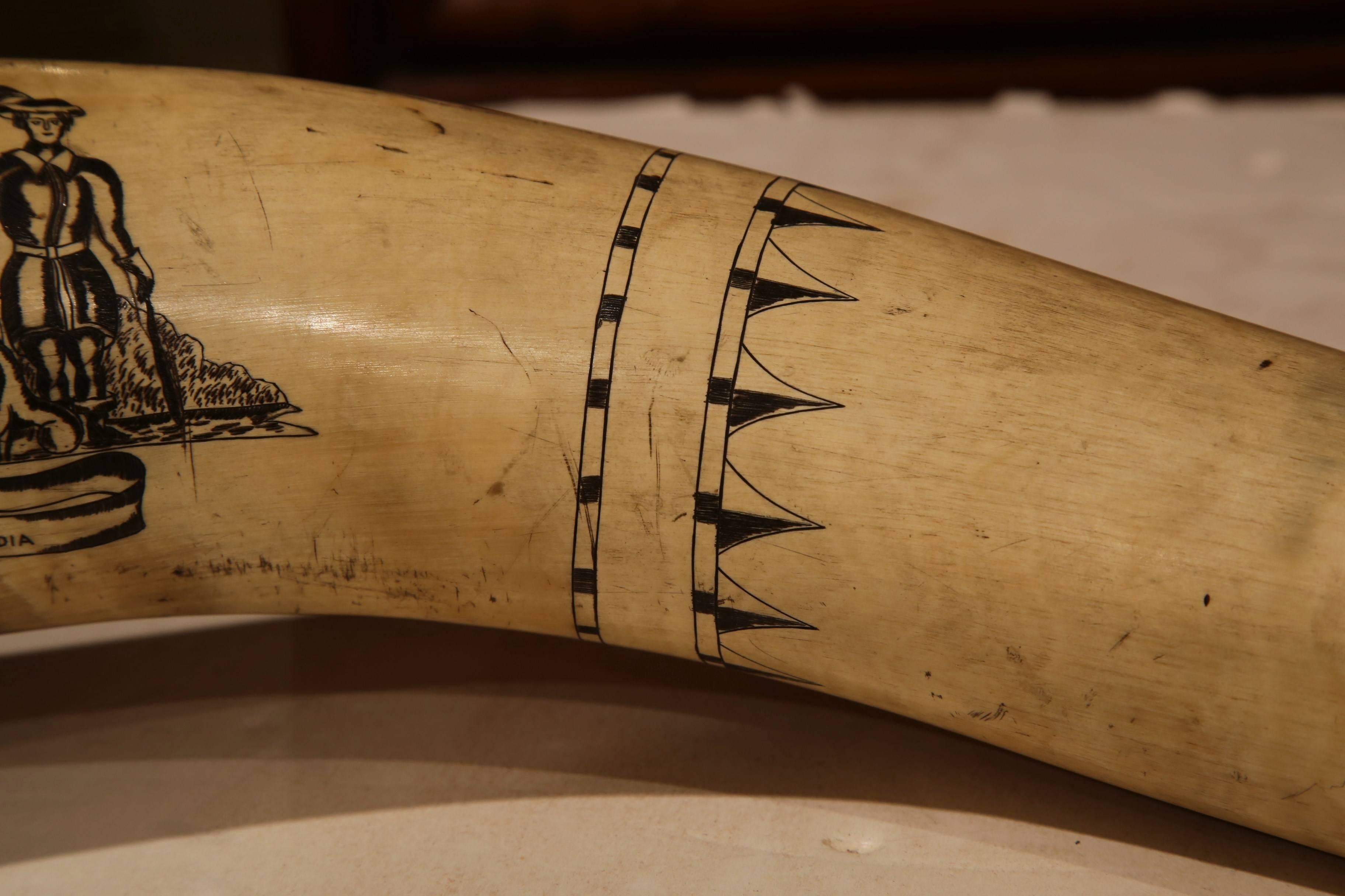 19th Century English Scrimshaw Steer Horn with Black Armorial Crest Engraving For Sale 1