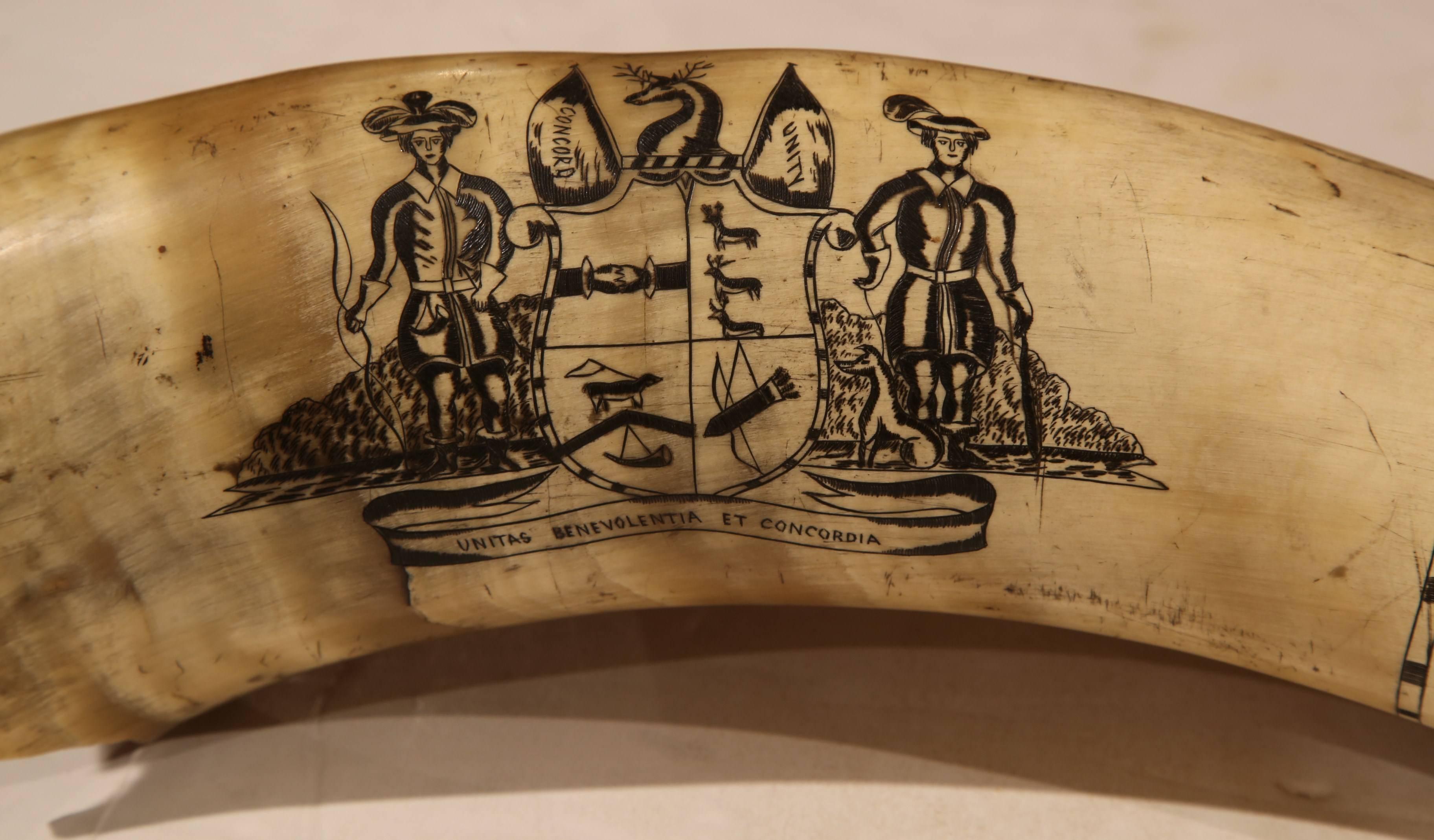 Decorate a man's office with this fine, antique scrimshaw steer Horn. Found in England, circa 1870, the Horn flaunts impressive engraving work and overall is in excellent condition. This piece is carved with the inscription 