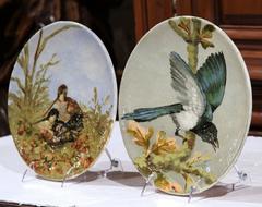 Pair of Early 20th Century French Hand-Painted Birds Plates from Fontainebleau