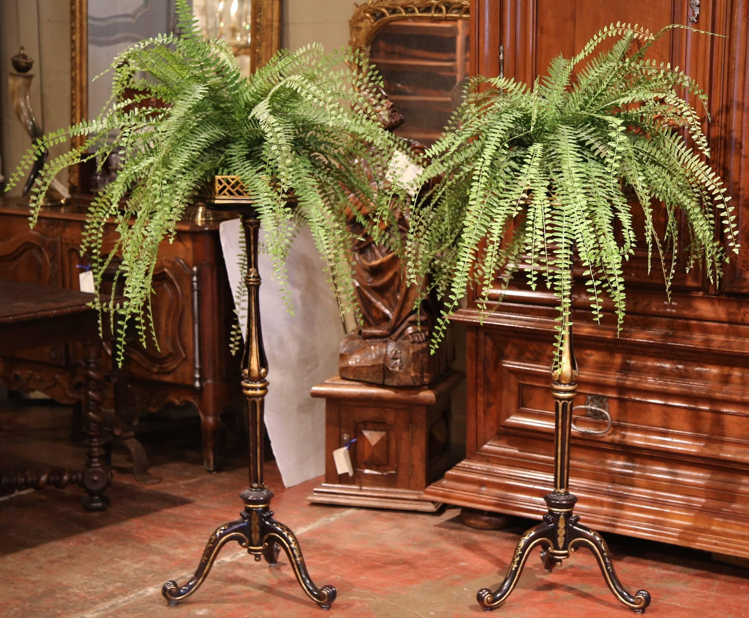 Gold Leaf Pair of Tall Mid-20th Century French Painted with Gilt Pedestal Plant Stands