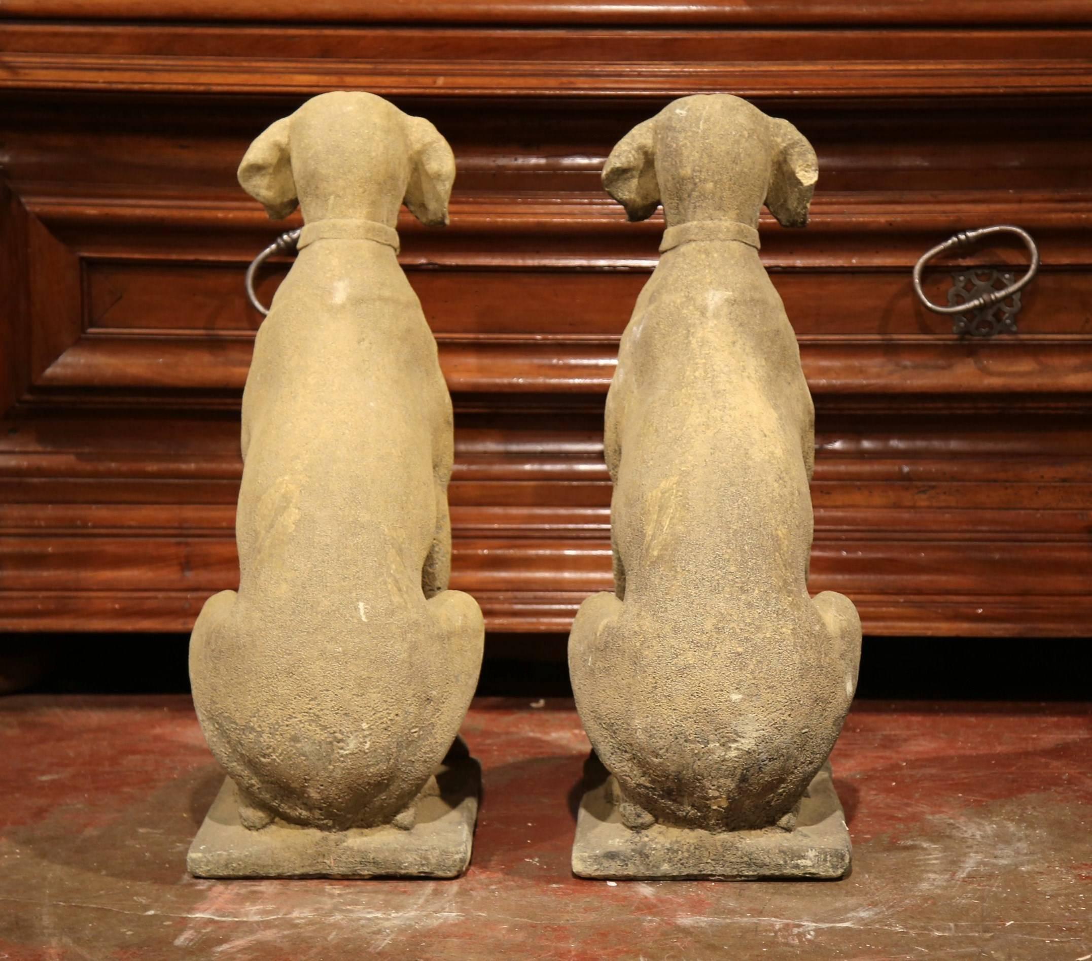 Large Pair of French Concrete Verdigris Patinated Labrador Dog Sculptures In Excellent Condition In Dallas, TX