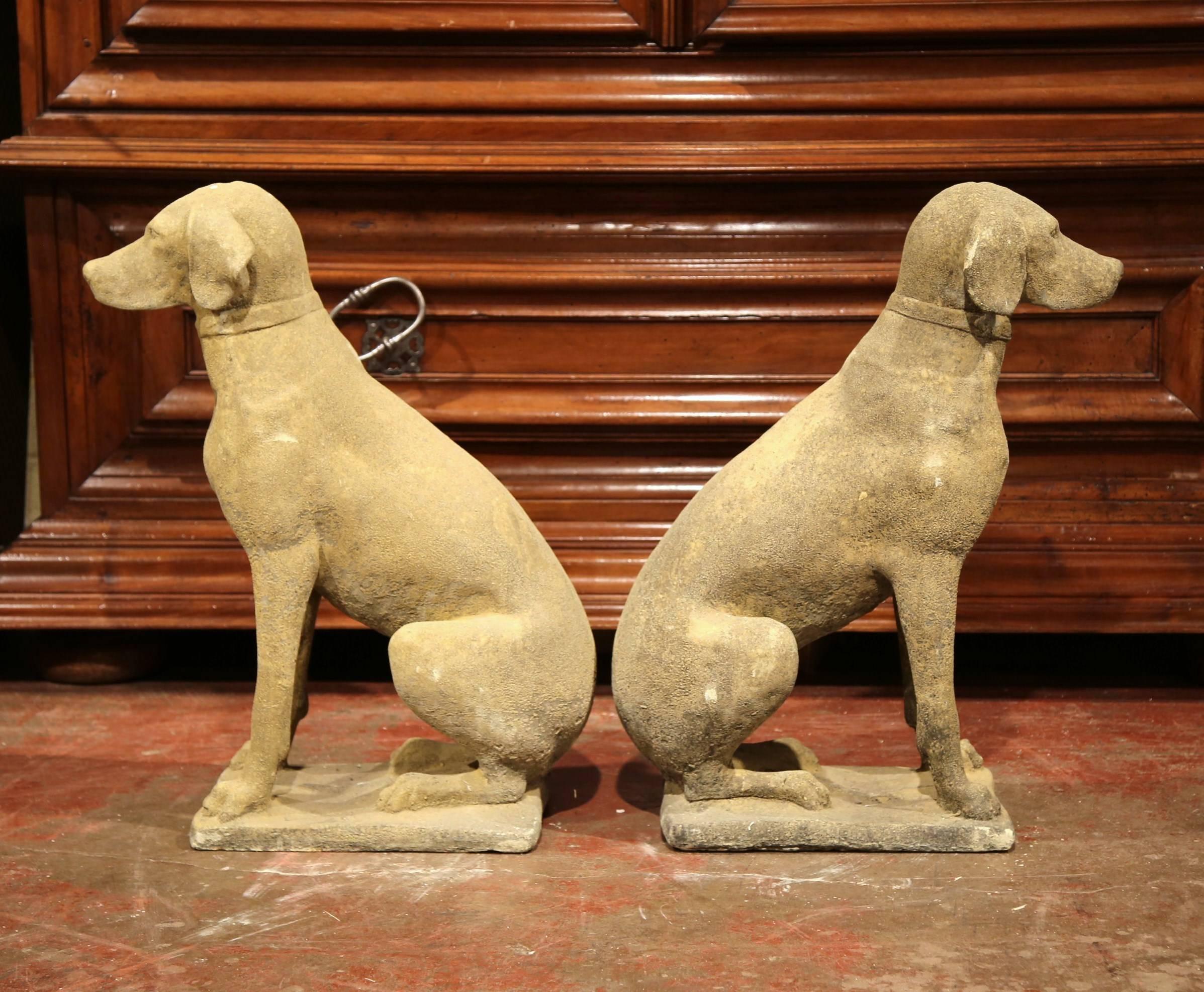 Hand-Carved Large Pair of French Concrete Verdigris Patinated Labrador Dog Sculptures