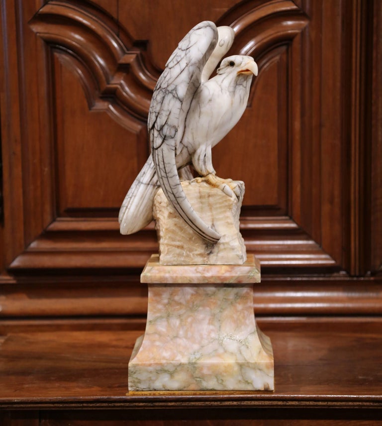 Large 19th Century French Carved Marble Eagle Sculpture on Separate